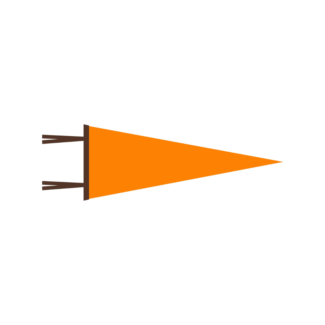 WITLY - CUSTOM FELT PENNANT