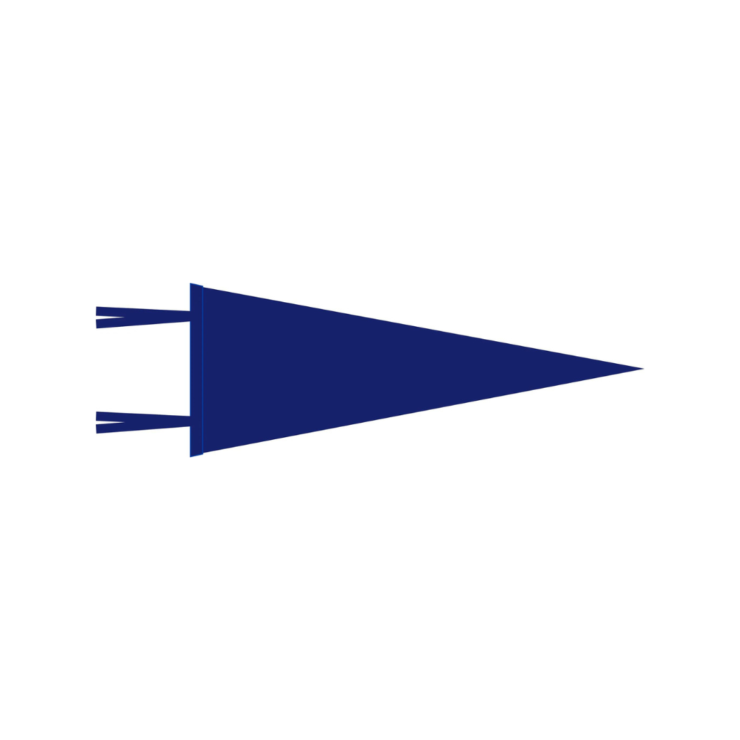 WITLY - CUSTOM FELT PENNANT