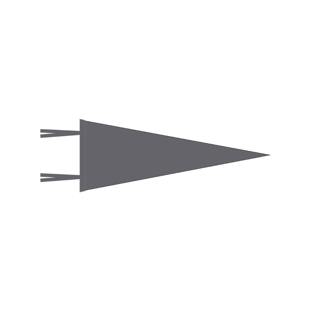 WITLY - CUSTOM FELT PENNANT