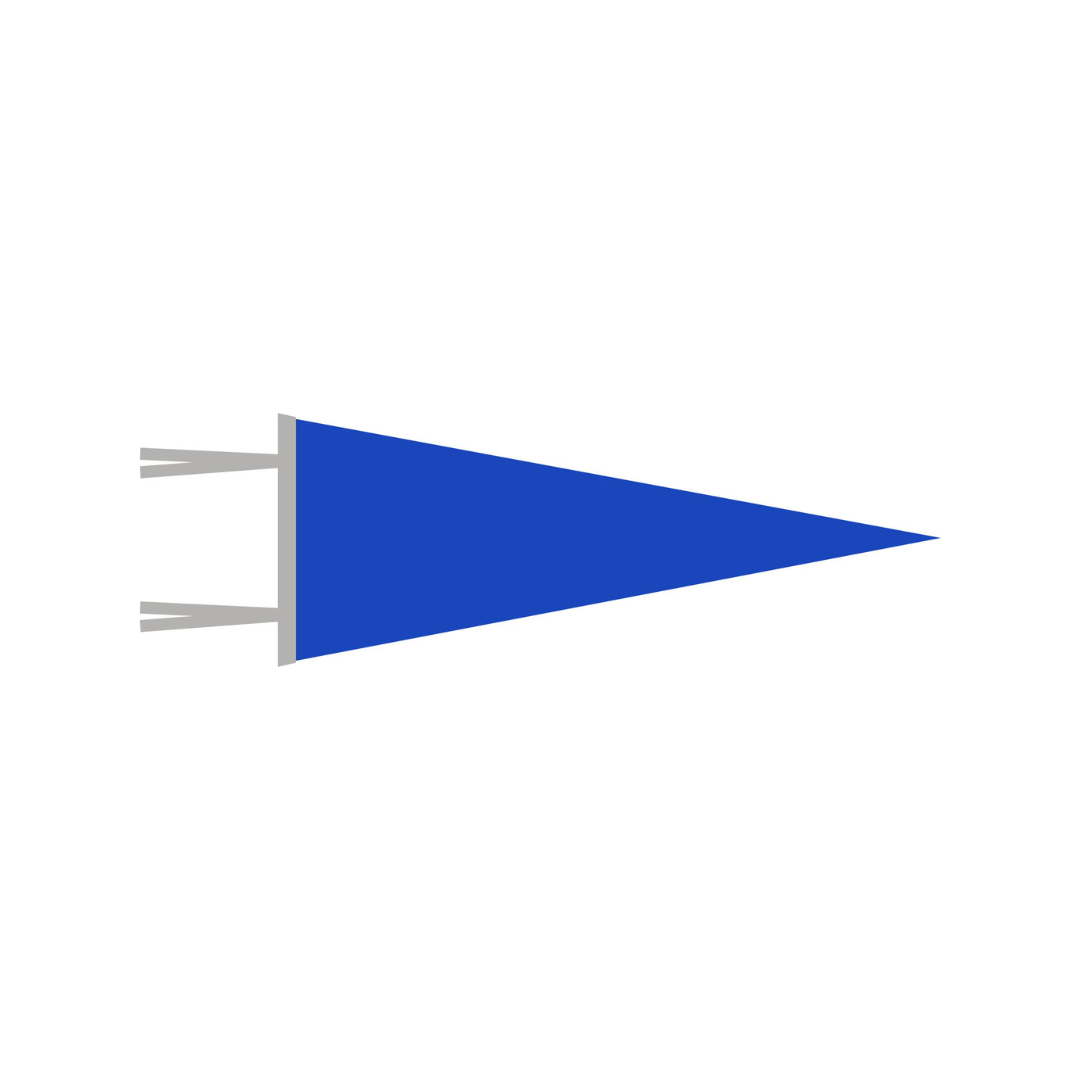 WITLY - CUSTOM FELT PENNANT