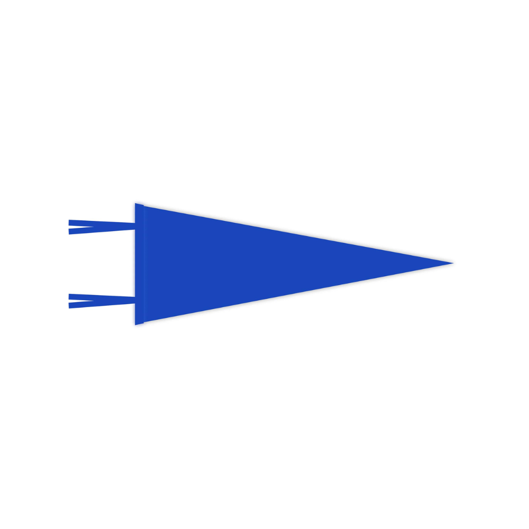 WITLY - CUSTOM FELT PENNANT