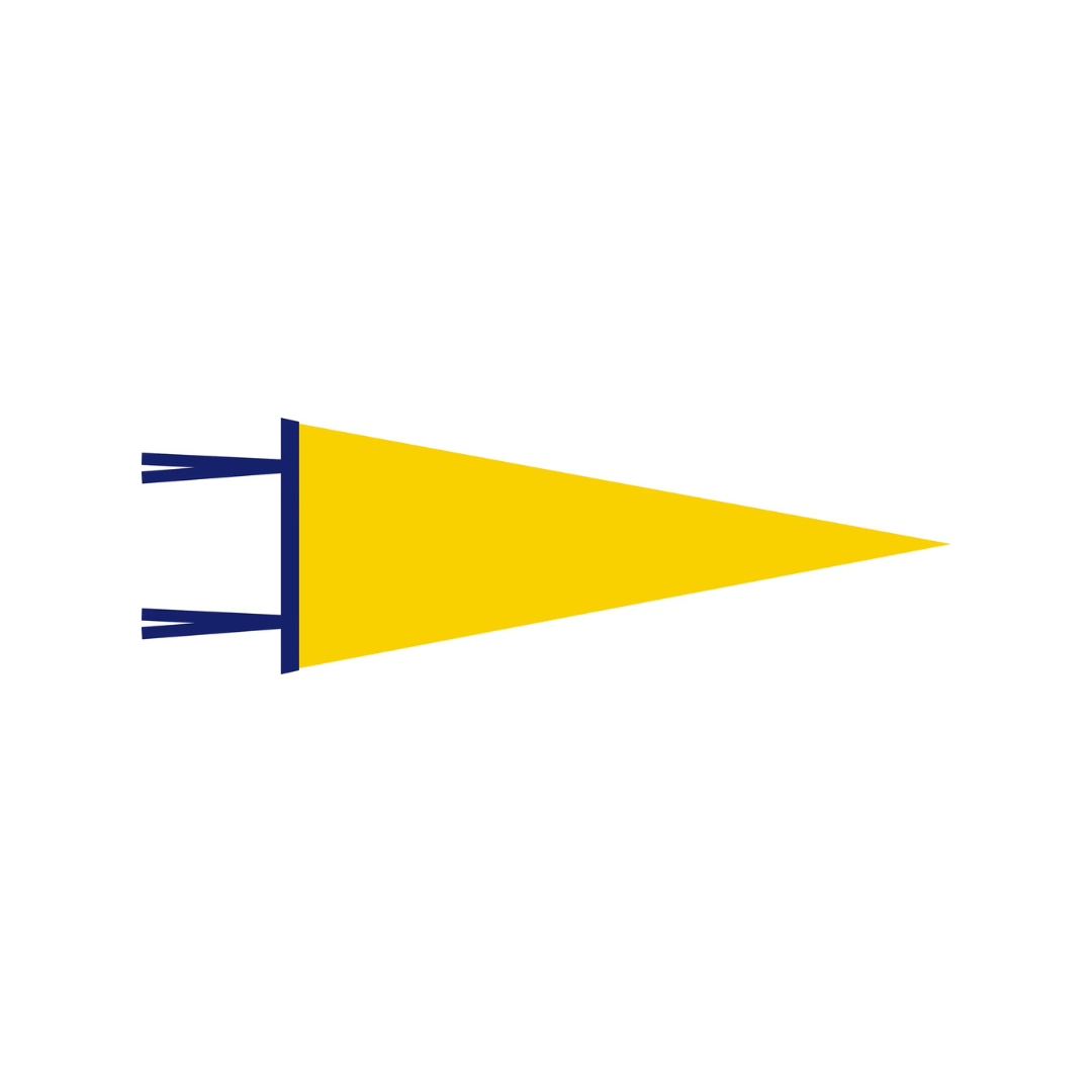 WITLY - CUSTOM FELT PENNANT
