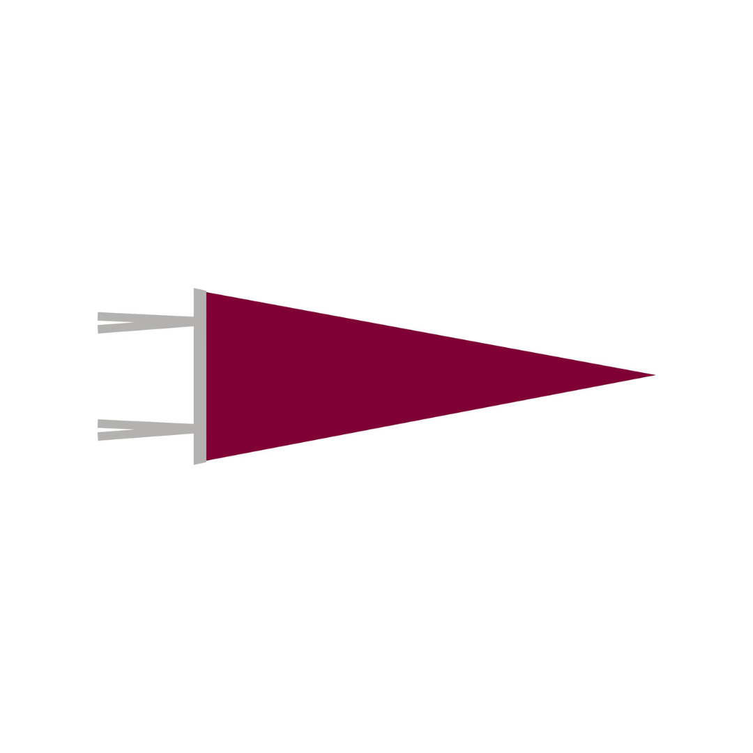 WITLY - CUSTOM FELT PENNANT