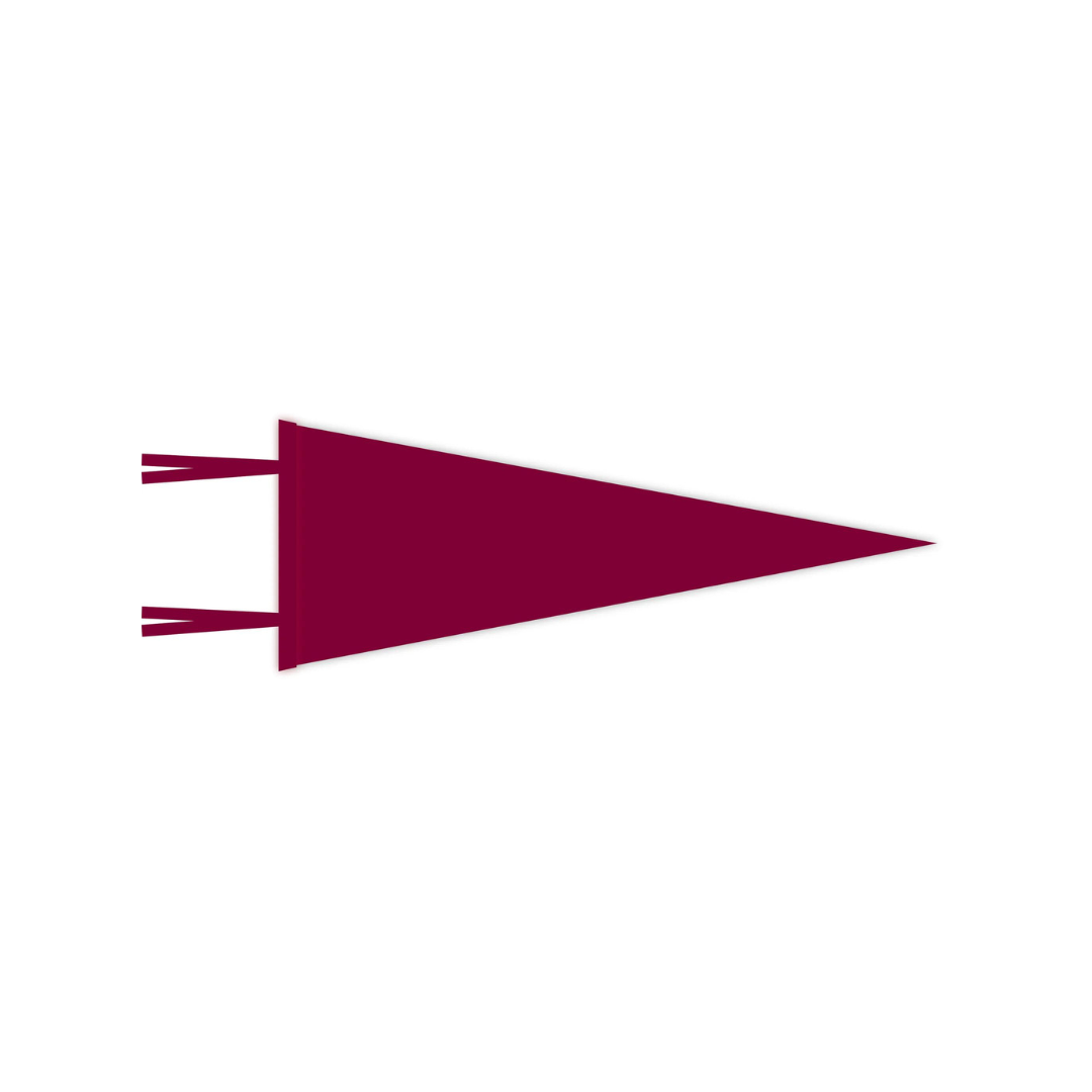 WITLY - CUSTOM FELT PENNANT