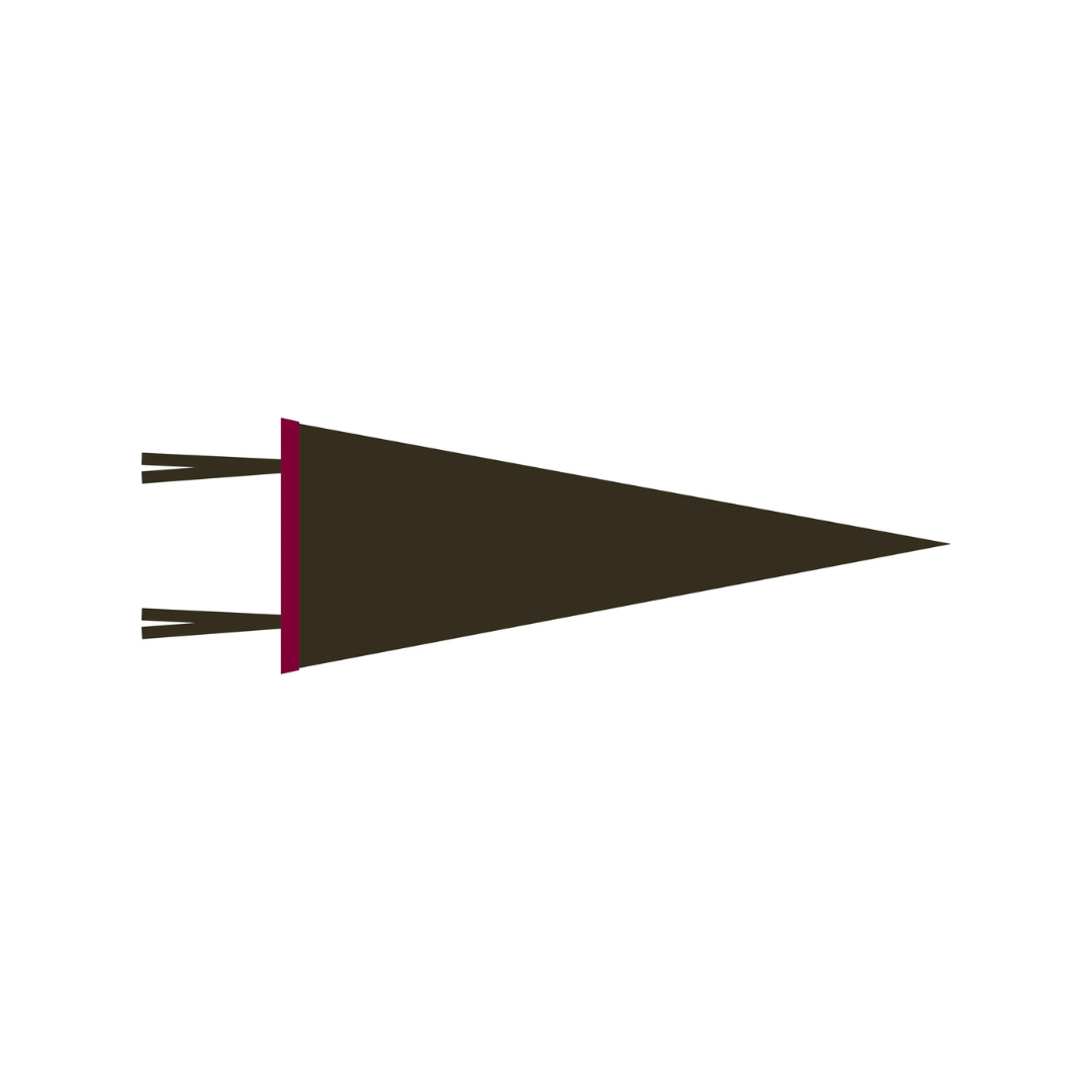 WITLY - CUSTOM FELT PENNANT