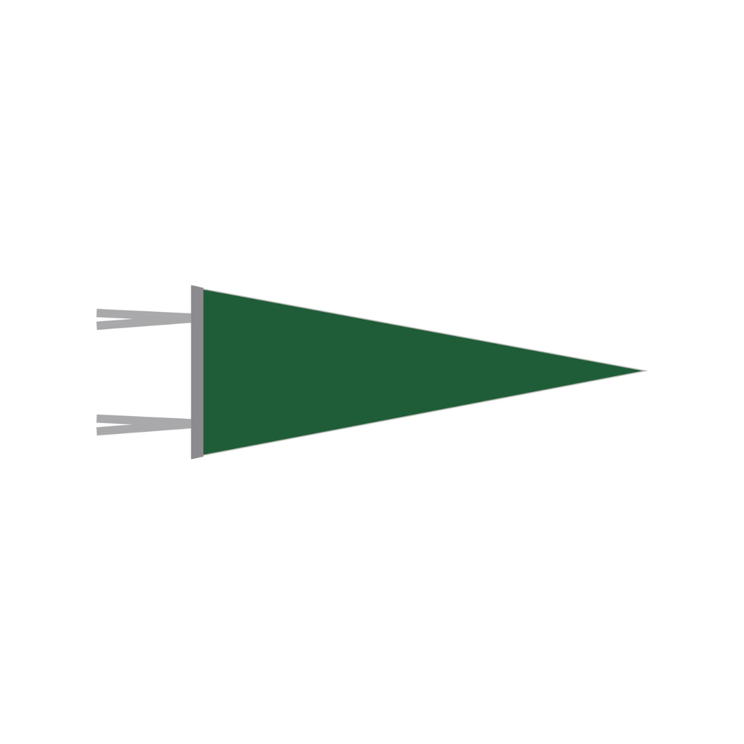 WITLY - CUSTOM FELT PENNANT