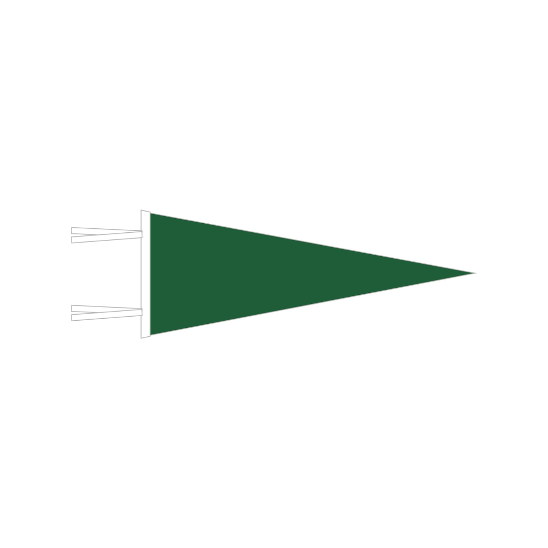 WITLY - CUSTOM FELT PENNANT