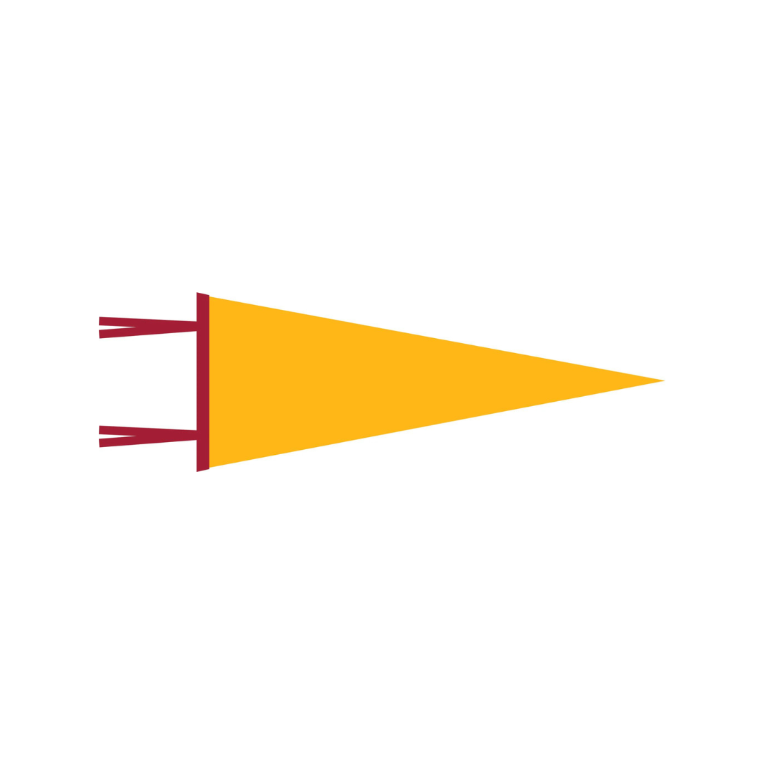WITLY - CUSTOM FELT PENNANT