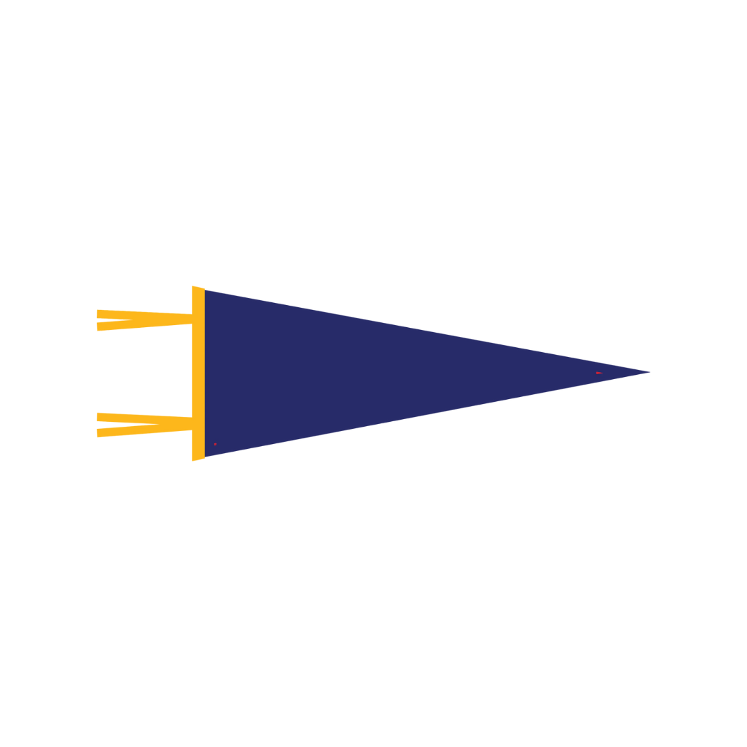 WITLY - CUSTOM FELT PENNANT