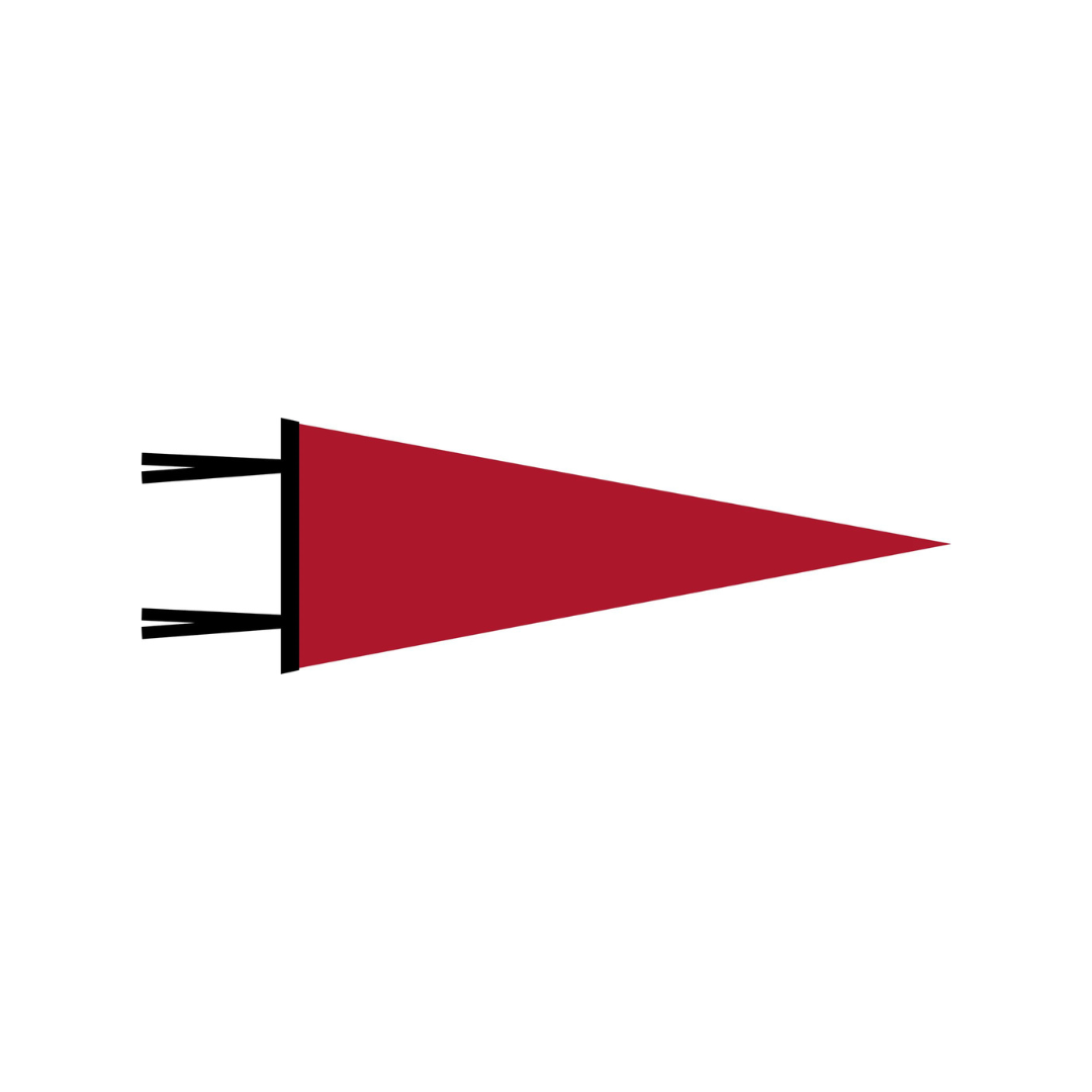 WITLY - CUSTOM FELT PENNANT