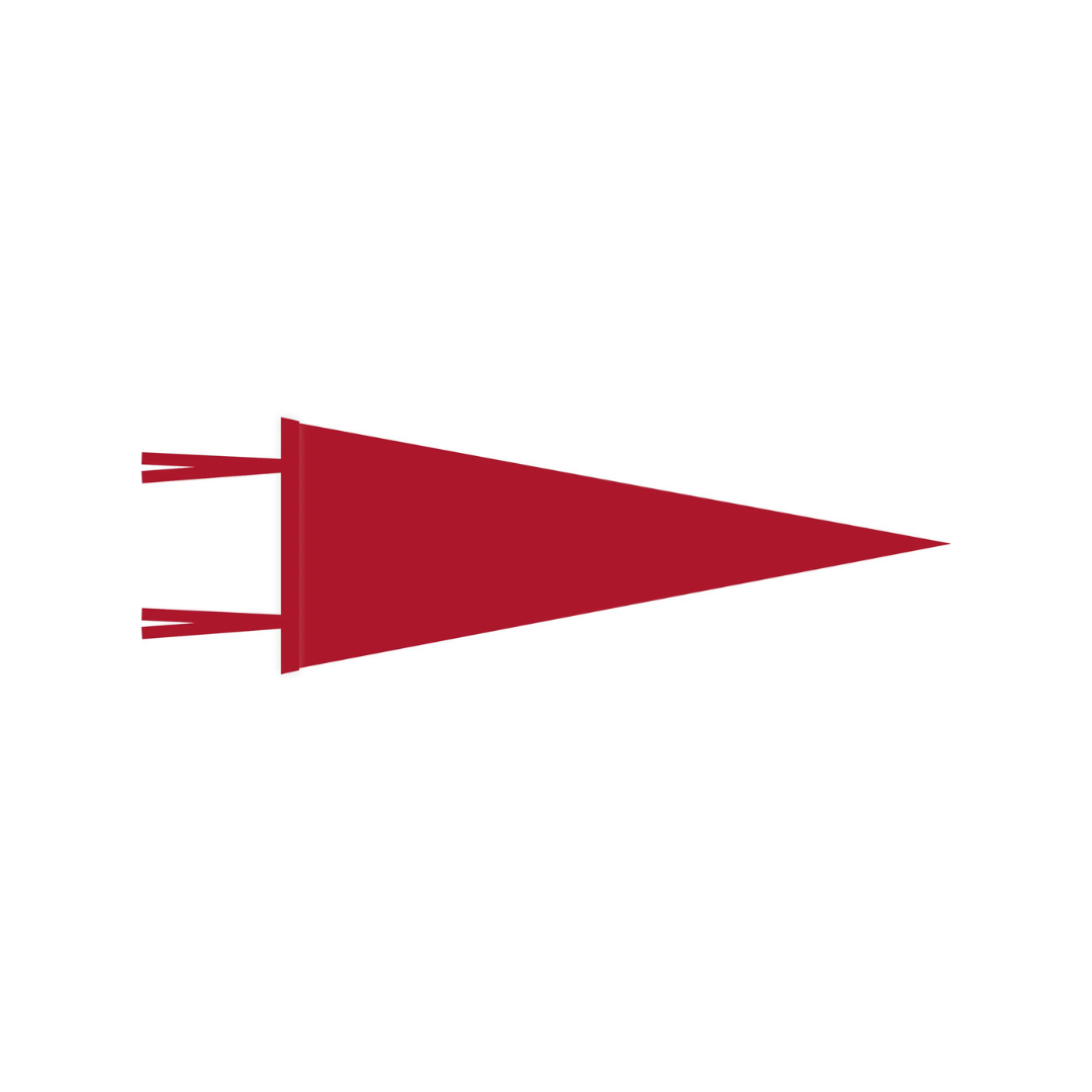 WITLY - CUSTOM FELT PENNANT