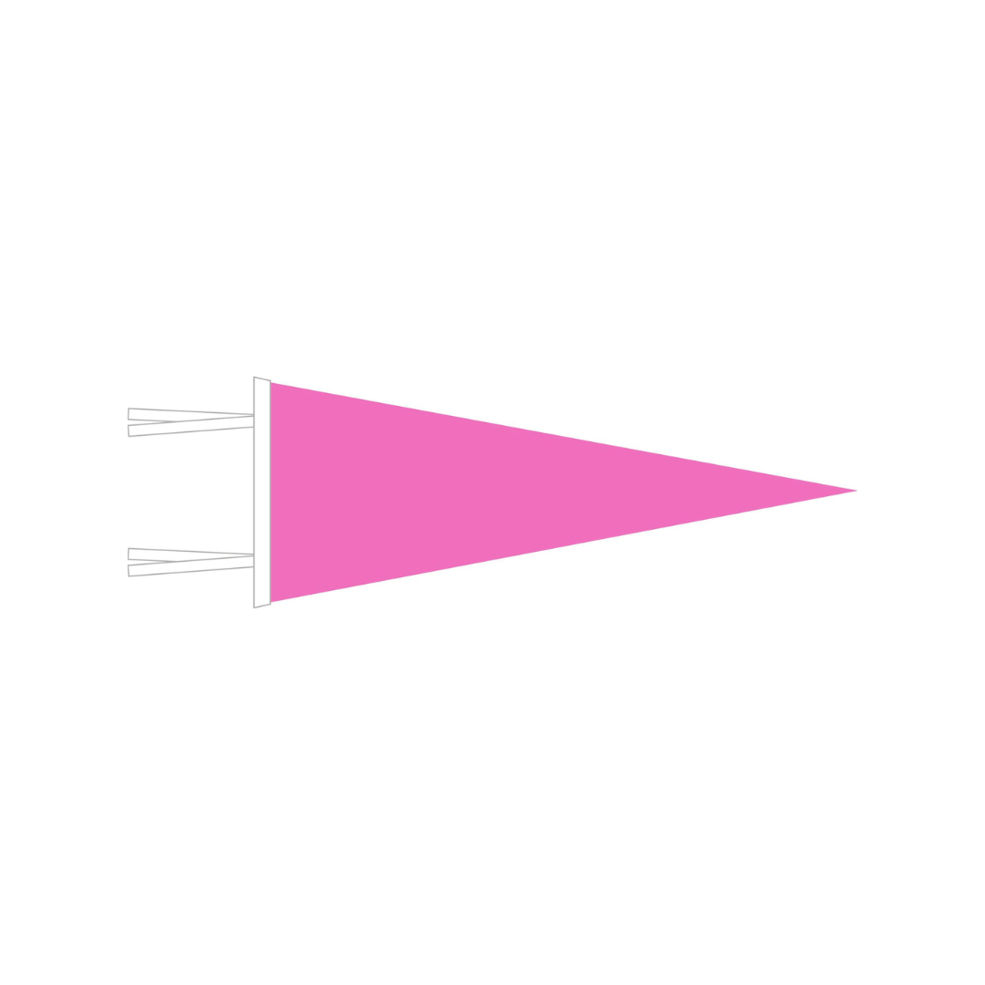 WITLY - CUSTOM FELT PENNANT