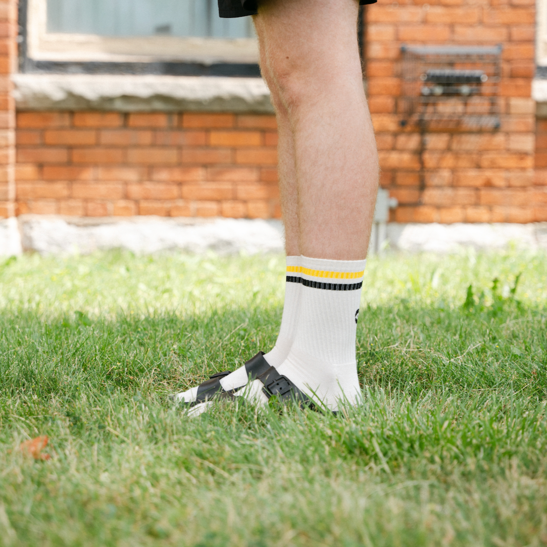 Wandering Socks