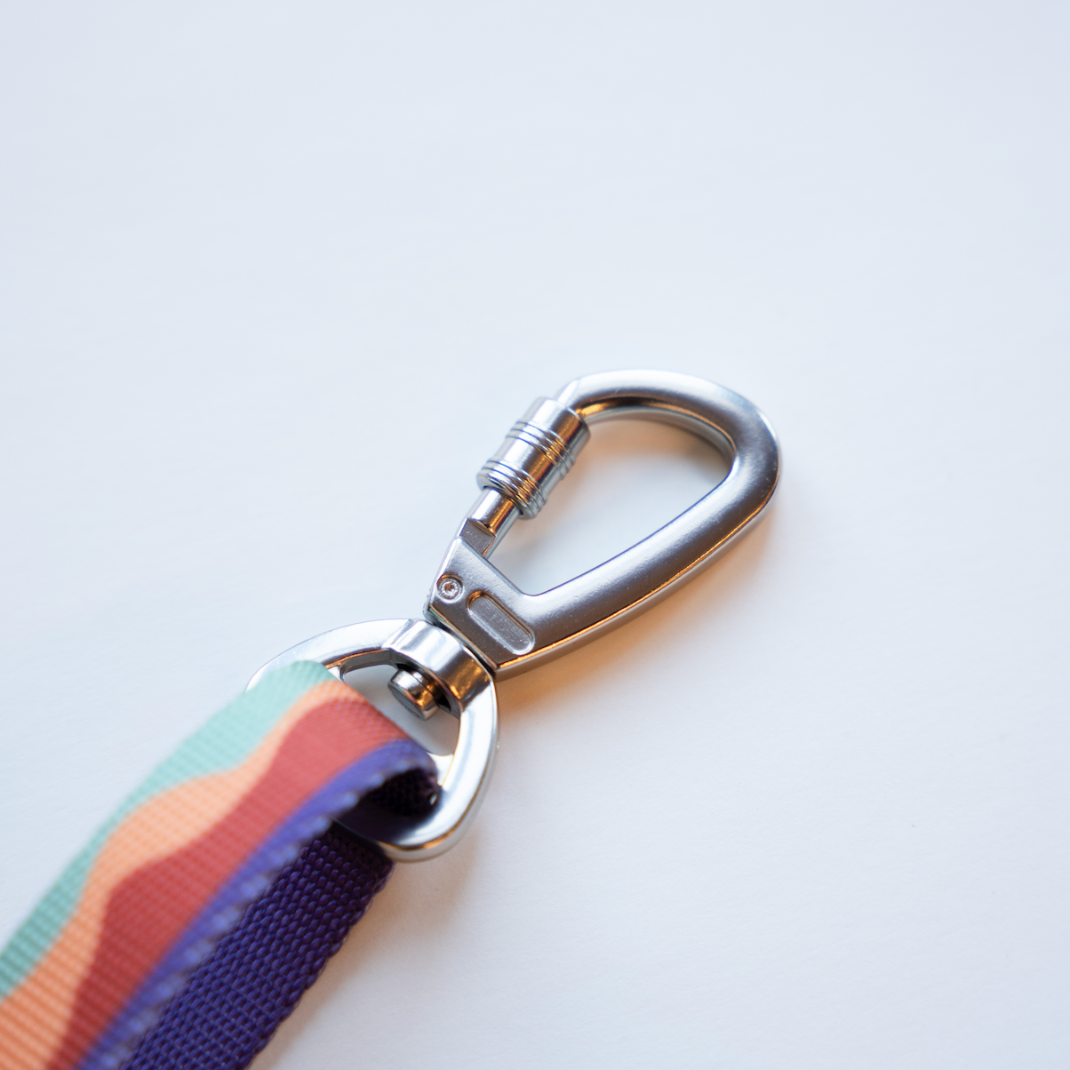 WITLY - CUSTOM DOG LEASH