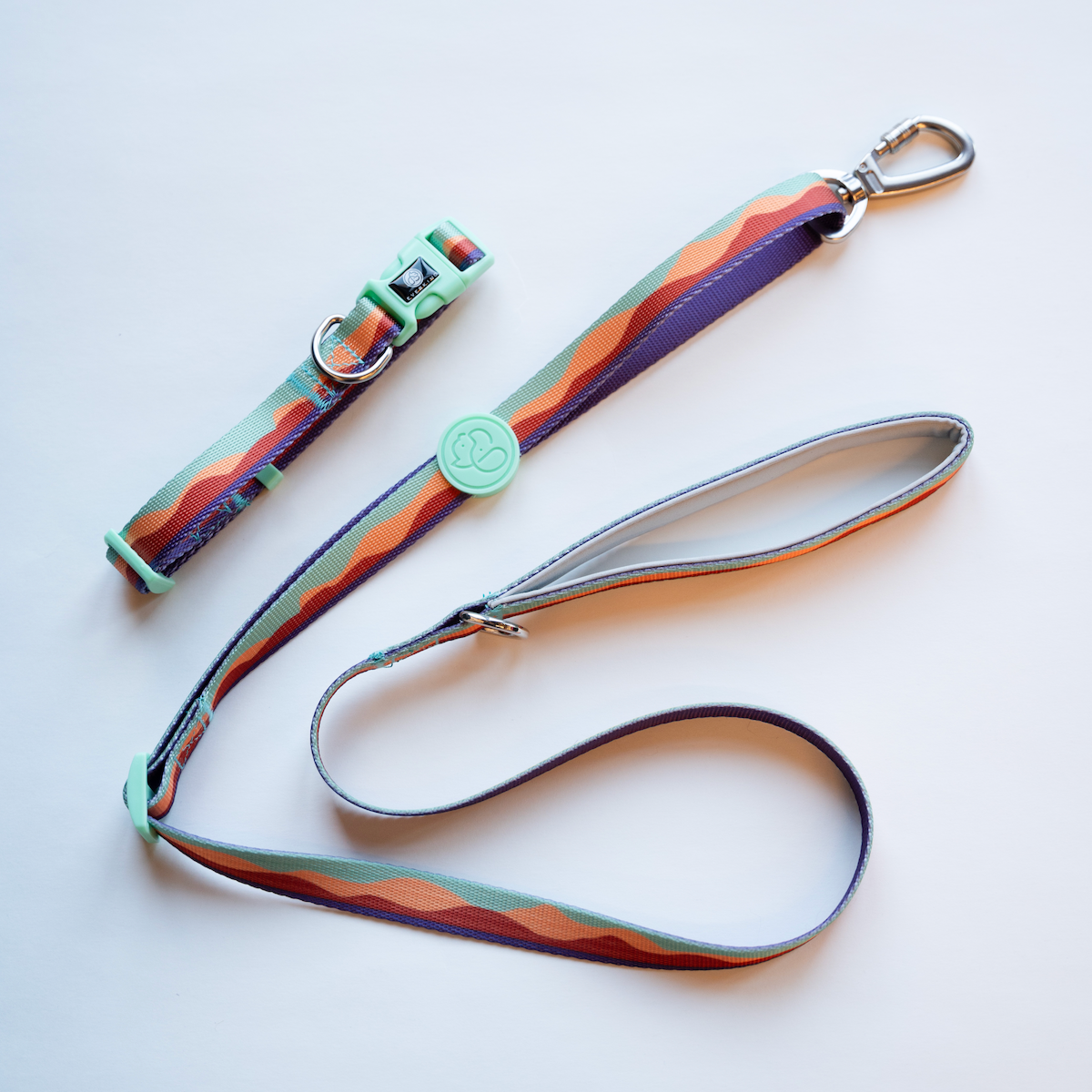 WITLY - Custom Dog Leash