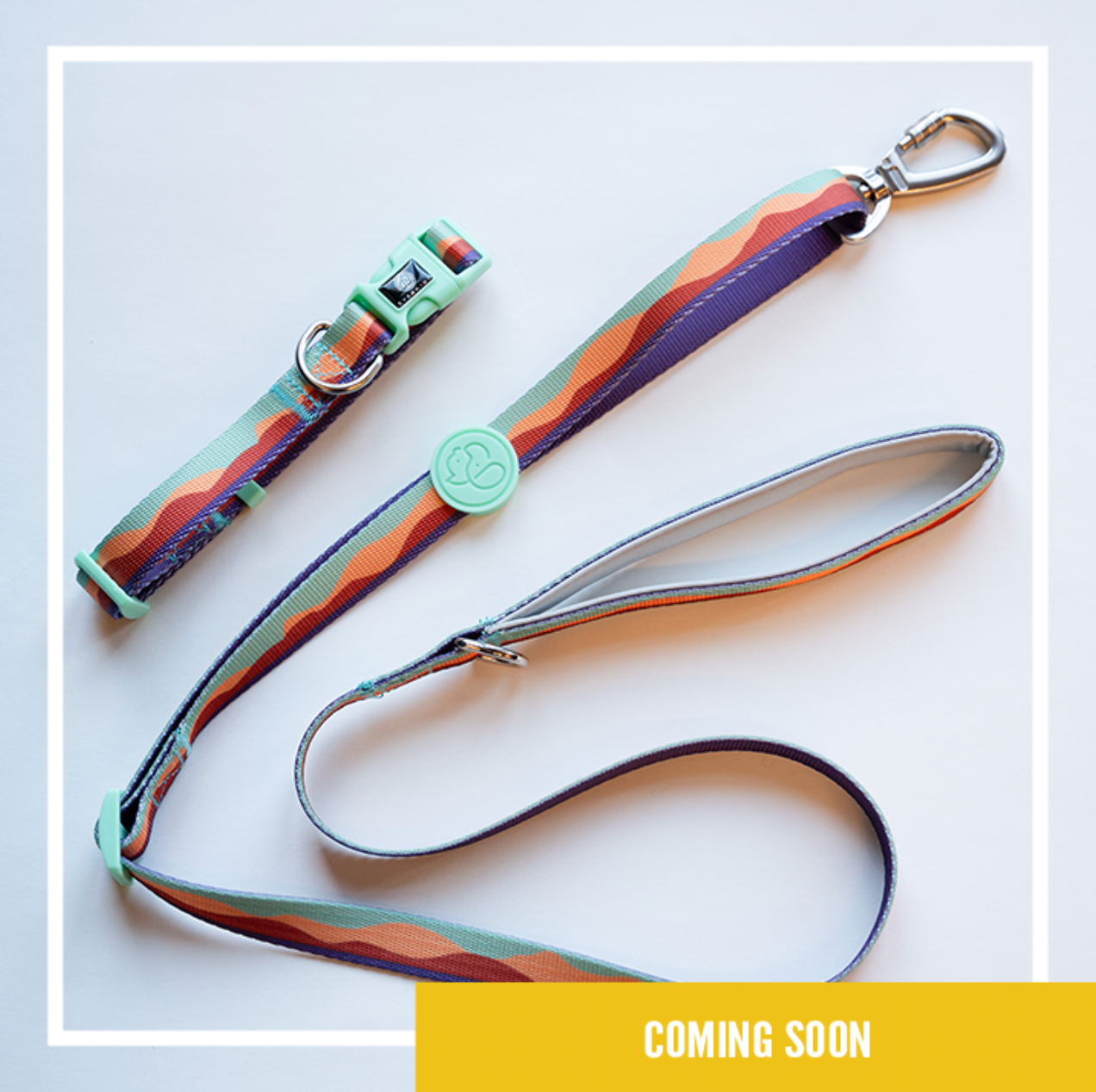 WITLY - Custom Dog Leash