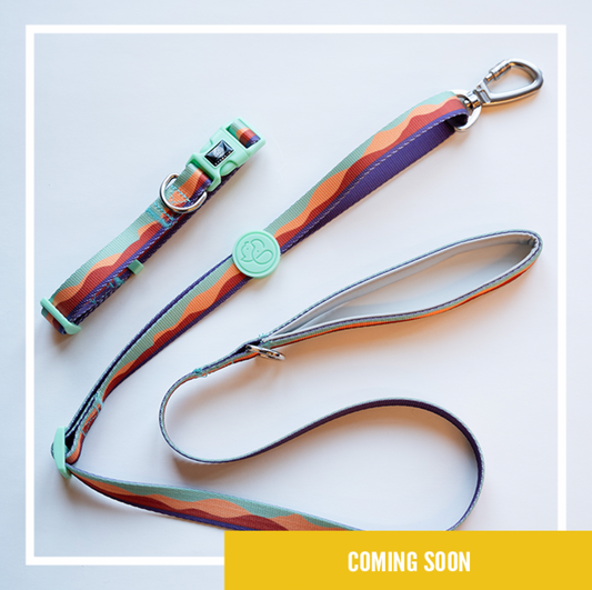 WITLY - CUSTOM DOG LEASH