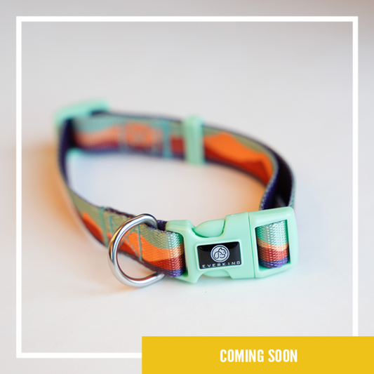 WITLY - CUSTOM DOG COLLAR