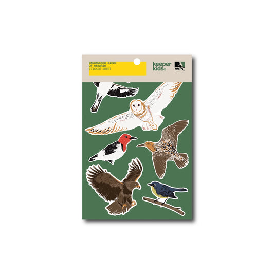 CUSTOM KISS CUT STICKER SHEETS